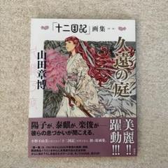 2025年最新】十二国記 画集の人気アイテム - メルカリ