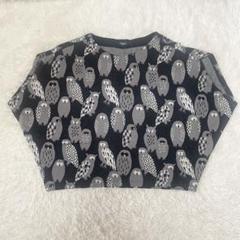 未開封マーブルシュッドmarble sud ナマケモノヒラメT