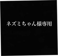 ネズミちゃん　宮古島産マンゴー　10キロ ネズミちゃん様専用 宮古島産 アップルマンゴー 10キロ - メルカリ