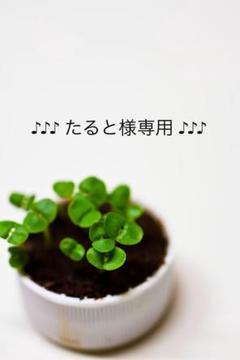 三重大学(医学部〈医学科〉・工学部・生物資源学部)