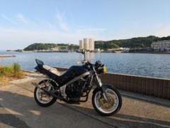 2025年最新】vtz250 テールの人気アイテム - メルカリ