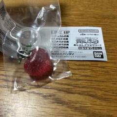 ONE PIECE めじるしアクセサリー オペオペの実 ガチャ