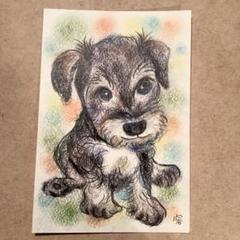 鉛筆画　絵画　ドローイング　ミニチュアシュナウザー　手描き　額付き i-img1200x839-