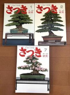 N238さつき研究2008年5月号盆栽雑誌趣味専門誌