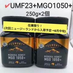 エグモント□マヌカハニーUMF23+MGO1050+□eg-3-2 - メルカリ