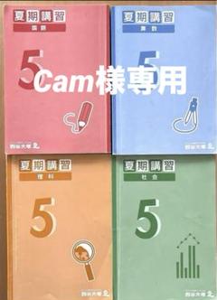 四谷大塚６年　春期/夏期講習　国算理　書き込み小　2019年度 四谷大塚 予習シリーズ 春期・夏期講習 6年 国•算•理セット