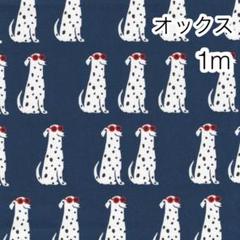 ラスト2点 1m ダルメシアン 犬 ネイビー オックス