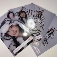 櫻坂46 生写真　村井優　どうぶつ着ぐるみ　コンプ