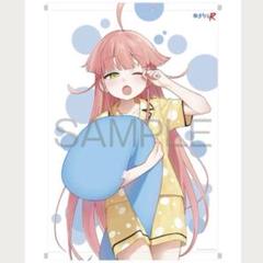 ぬきたしR1巻 ゲーマーズ限定版 描き下ろしA4おめくりクリアタペストリー ぬきたしR 1 メロンブックス限定版特典 描き下ろしB2