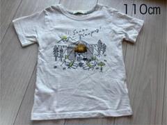 ビームスミニ キャンプ クマ柄 Tシャツ トップス 110㎝