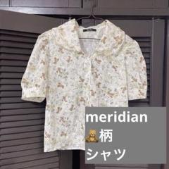 meridian メリディアン　熊柄　テディベア柄　レディース　ブラウス