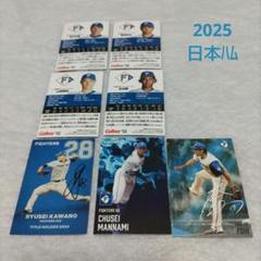 2025 プロ野球チップスカード/日本ハムのサムネイル