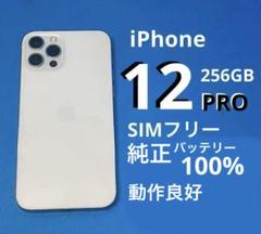iPhone 12 Pro Silver 256GB 動作良好