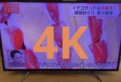 訳あり　東芝 REGZA 49C310X 4K レグザ