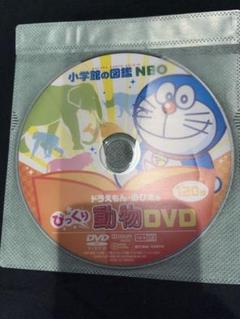 2025年最新】図鑑neo dvdのみの人気アイテム - メルカリ