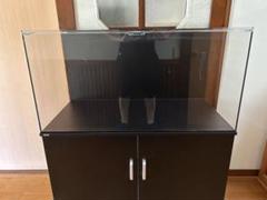 2025年最新】水槽 900 450の人気アイテム - メルカリ
