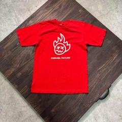 7SM2 【anvil】90's USA製　プリントTシャツ　used 古着