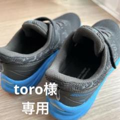 瞬足24.5EEE