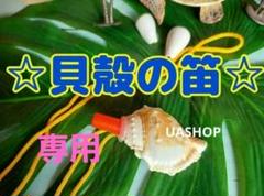Z ほら貝　ホラ貝　法螺貝　貝笛 楽天市場】【 伊勢 宮忠 】【 No.12 法螺貝（ほら貝） 大型