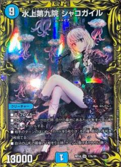 シャコガイル B 1枚 メルカリ便 2025年最新】シャコガイルbの人気アイテム - メルカリ