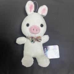 美男ですね ブタうさぎ ぬいぐるみ タグ付 - メルカリ