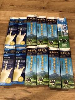 牛乳パック 12個 未解体