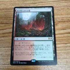 踏み鳴らされる地 ミントモール / MINT GAMES MTG(東日本橋) / 【RVR】【JPN