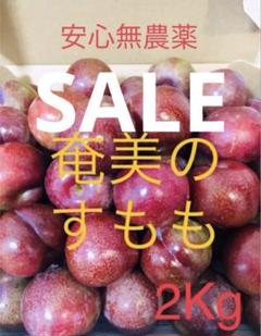 ☆奄美大島産☆奄美の特産！奄美プラム すもも ガラリ 2キロ