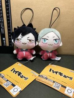 ハイキュー!! ちょぴぬいぷち② 全3種セット 黒尾鉄朗 孤爪研磨 灰羽リエーフ Amazon.co.jp: ハイキュー!! ちょぴぬいぷち② ぬいぐるみ 公式