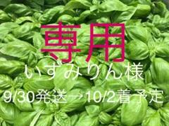 400g 農家直送 新鮮野菜 バジル ばじる
