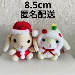ぽてうさろっぴー クリスマスノエル 大きい BIGぬいぐるみ マスコット Amazon.co.jp: ぽてうさろっぴークリスマスノエル BIGぬいぐるみ