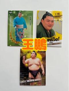 BBM 2025大相撲カード 王鵬幸之介 大嶽部屋