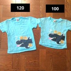 シャチ シーサー 沖縄 海遊館 Tシャツ 半袖 お揃い 120 100