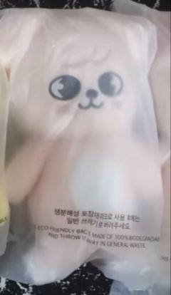 ♡不要】StrayKids スキズ SKZOO テディベア パピーム 未開封