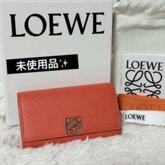 希少✨ロエベ  アナグラム カメリア サングラス ロゴ ケース付き ブラウン 希少 ロエベ アナグラム カメリア サングラス ロゴ ケース付き