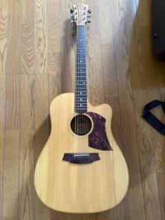 ColeClark コールクラーク FL2AC 美品　Anthem付属 COLE CLARK FL2AC|ドルフィンギターズ