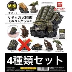 バンダイ ガチャ カメ 第３弾セット バンダイ ガチャ カメ 第3弾セット - メルカリ