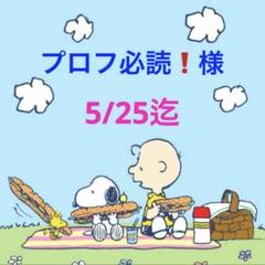 プロフ必読❗️様 専用ページ - メルカリ