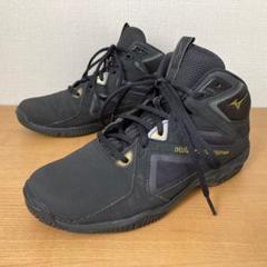 2025年最新】ミズノ エアロビクス シューズの人気アイテム