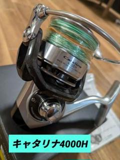 キヨ様 DAIWA 12キャタリナ Catalina PE3号300mライン付 DAIWA 12キャタリナ Catalina PE3号300mライン付 - メルカリ