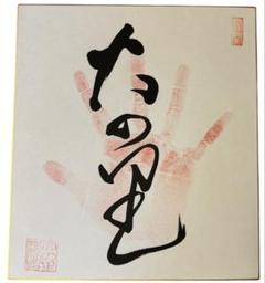 大の里サイン　手形 Amazon.co.jp: 大相撲☆大の里☆肉筆サイン手形 : おもちゃ