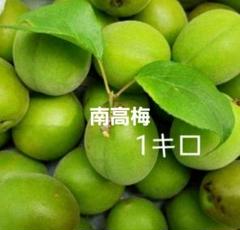 残りわずか 1キロ 徳島神山産 青梅 南高梅 - メルカリ