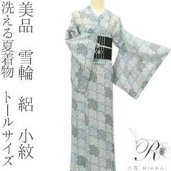 小雪✺美品 美品 洗える夏着物 トールサイズ 絽 訪問着 着物 A3130 小雪様専用✺美品 美品 洗える夏着物 トールサイズ 絽 訪問着