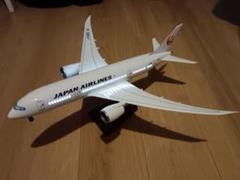 1/130 ボーイング 787 JAL 日本航空 Boeing 45センチ 1/130 ボーイング 787 JAL 日本航空 Boeing 45センチ（日本航空