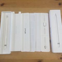 Apple Pencil 第一世代　ホワイト 充電アダプタ・替え先端付き
