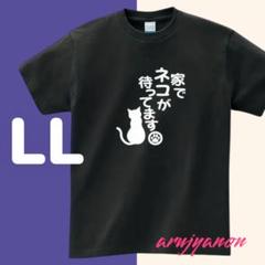 YL大きいサイズ Tシャツ LL ブラック 黒 猫 可愛い半袖 おもしろいねこ6