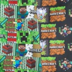 生地 マインクラフト マイクラ