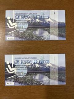 かたしな高原スキー場　リフト券引き換え券　２枚（駐車場無料チケット付） かたしな高原スキー場 - メルカリ