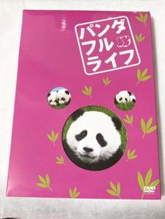 《パンダフルライフ》 DVD