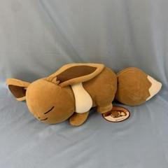 【美品】 ポケモンセンター ぬいぐるみ すやすやイーブイ 楽天市場】ポケモンセンターオリジナル もっちりぬいぐるみ
